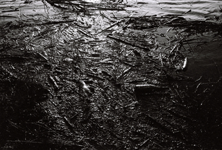 Hochwasser / Treibgut  ; 35mm Negativfilm ; 2014
